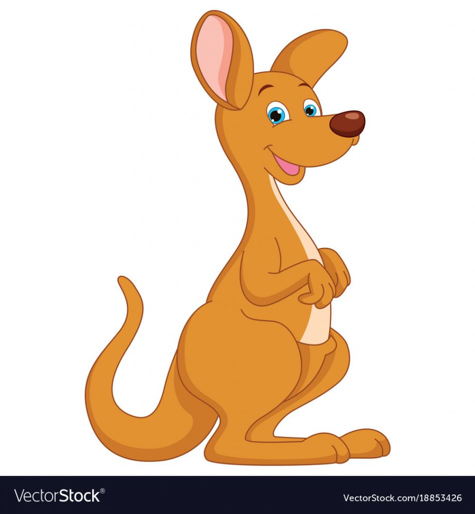 cartoon kangaroo vector 18853426