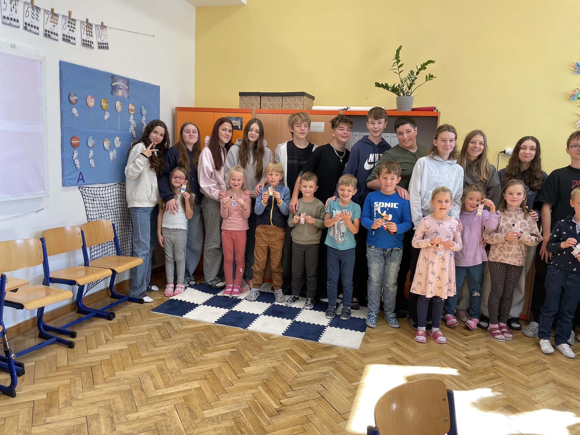 Vrstevnický program 1. a 9. ročníků