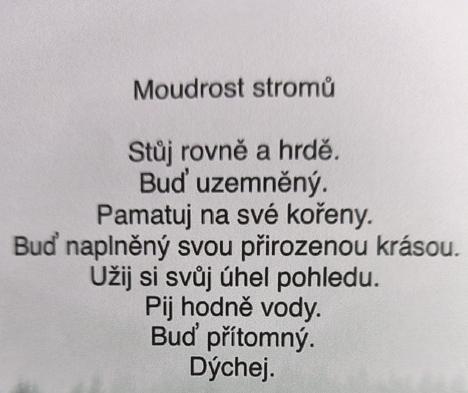MOUDROST STROMŮ